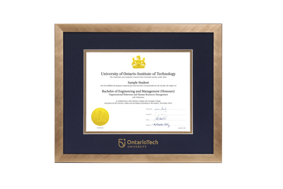 Florentine Gold Degree Frame