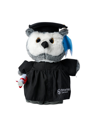 12" Graduation Owl